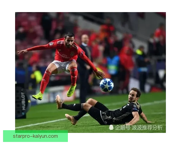 本菲卡本赛季表现稳健，攻防两端状态持续提升